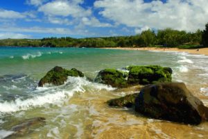 green, Rocks, Hawaii, Beaches