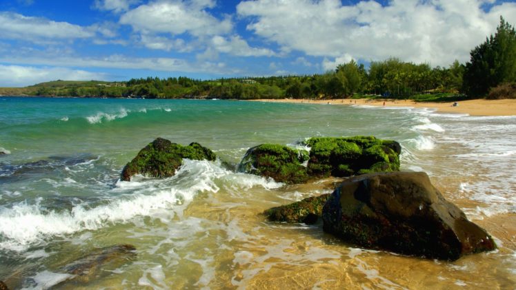 green, Rocks, Hawaii, Beaches HD Wallpaper Desktop Background