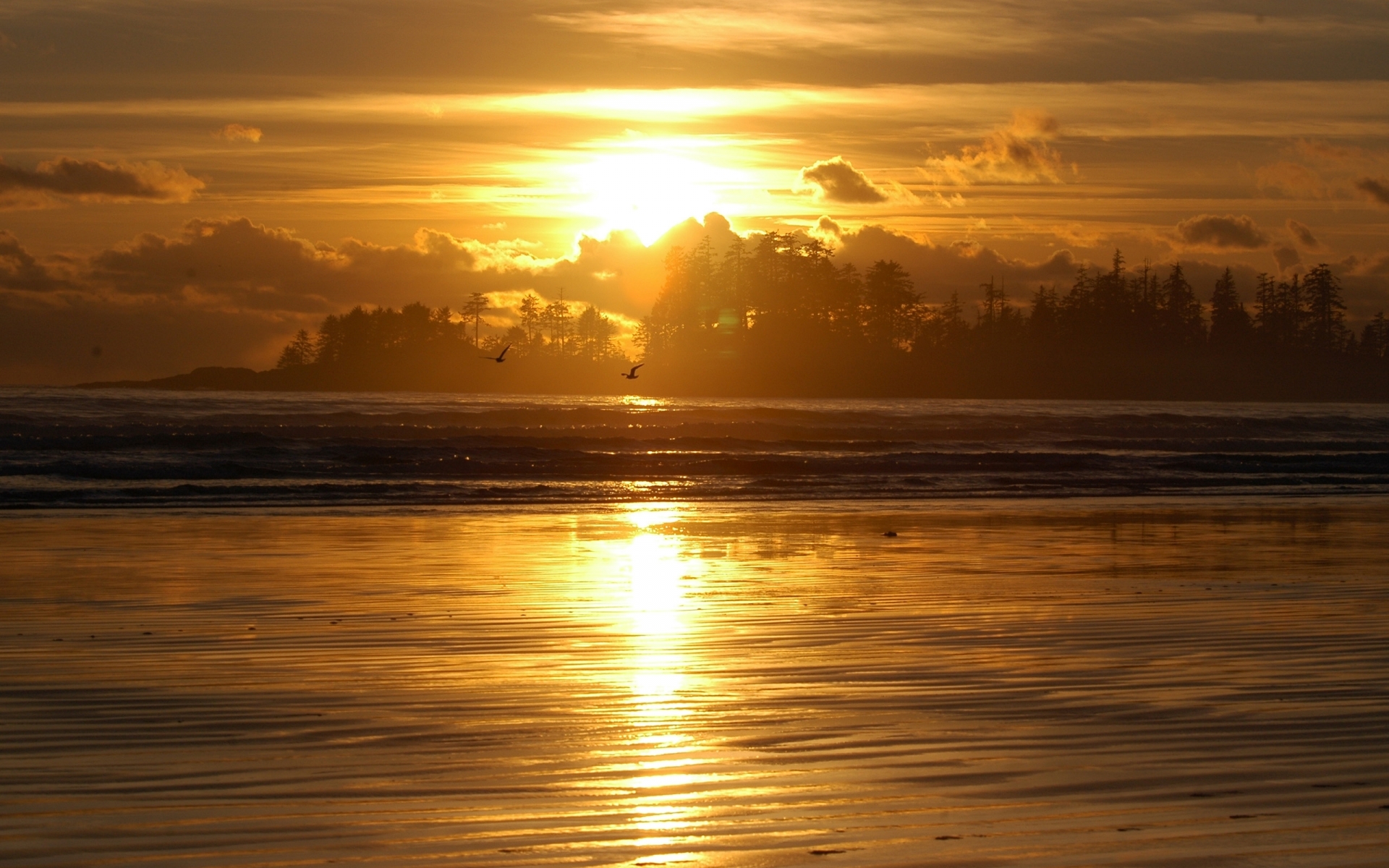 1920x1200, Sunset, Clouds, Landscapes, Nature, Beach, Sand, Shore, Sunlight, Oceans, Reflections, Birds Wallpaper
