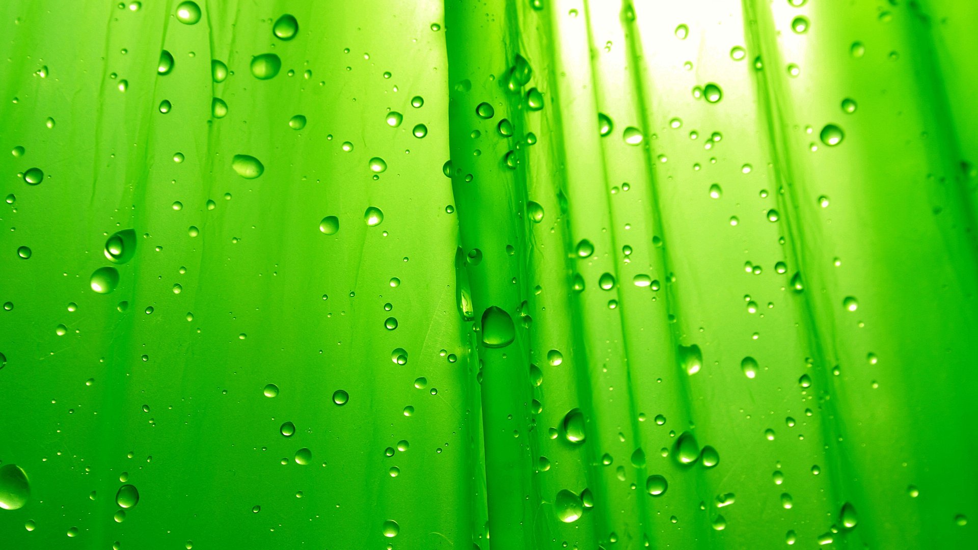 green, Water, Drops Wallpaper