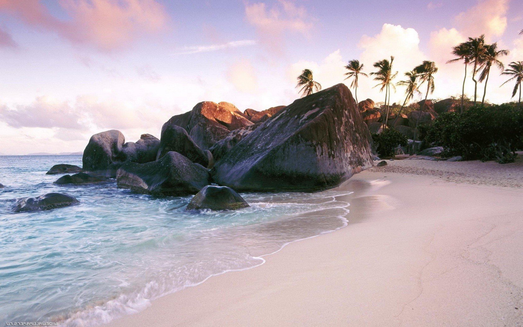 landscapes, Rocks, Palm, Trees, Sea, Beaches Wallpaper