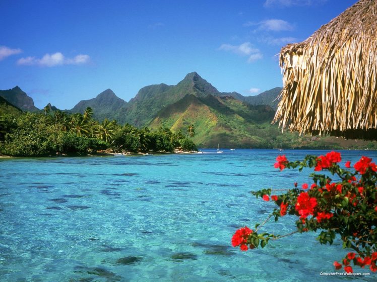 tranquil lagoon bora bora island french polynesia HD Wallpaper Desktop Background