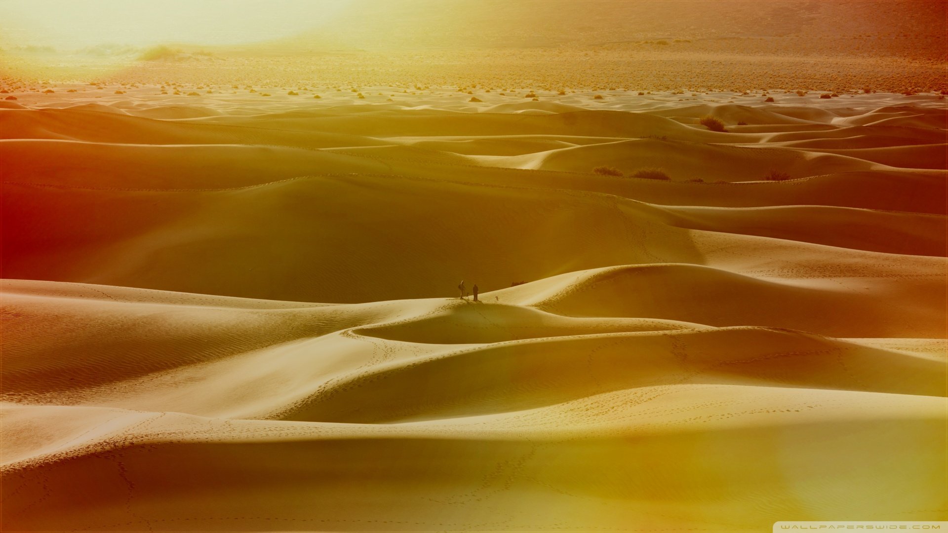 desert Wallpaper