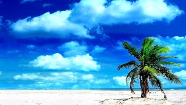 clouds, Sand, Islands, Palm, Trees, Beaches HD Wallpaper Desktop Background