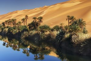 nature, Deserts, Tropical, Libya