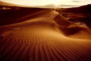 desert, Sand, Dunes, Dunes, Sun, Sky, Landscape