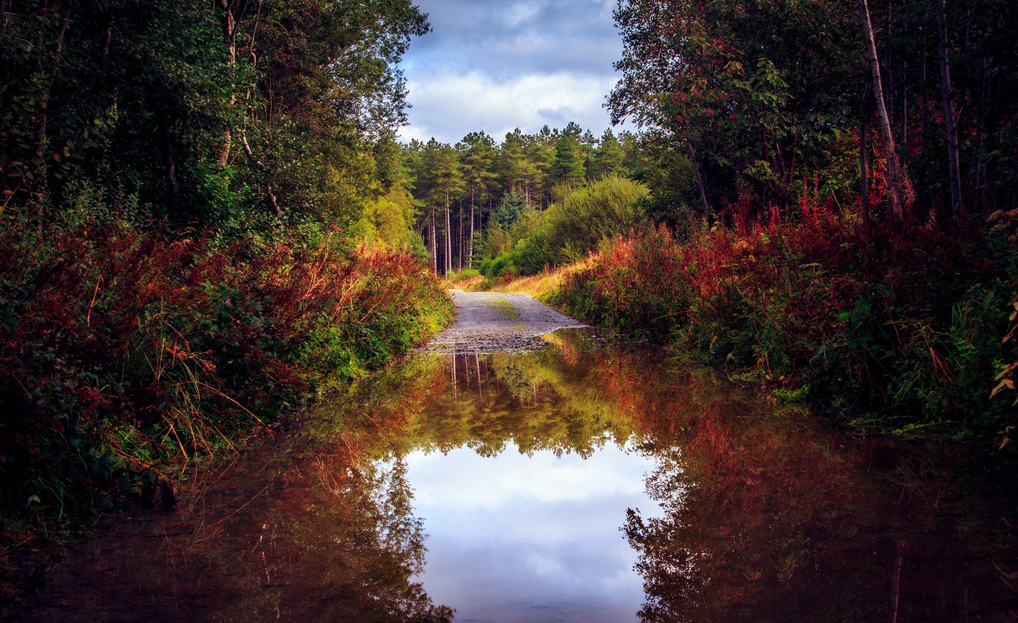 nature, Forest, Road, Trees, Autumn, Lake, Pond, Reflection, Boat Wallpaper