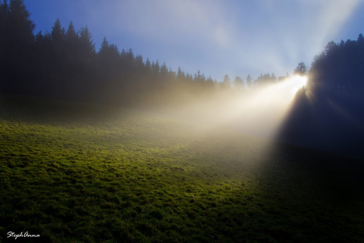 landscapes, Fields, Grass, Sunlight, Beams, Rays, Sky, Trees, Forest HD Wallpaper Desktop Background