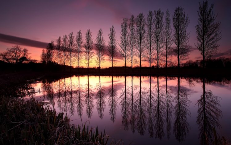 england, Trees, Row, Lake, Reflection, Night, Sunset, Sky, Clouds HD Wallpaper Desktop Background