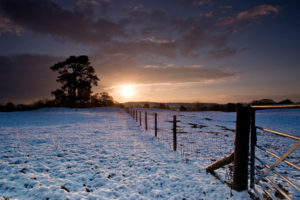 fields, Winter, Snow, Sunset, Sunrise, Sky, Clouds, Fence, Trees