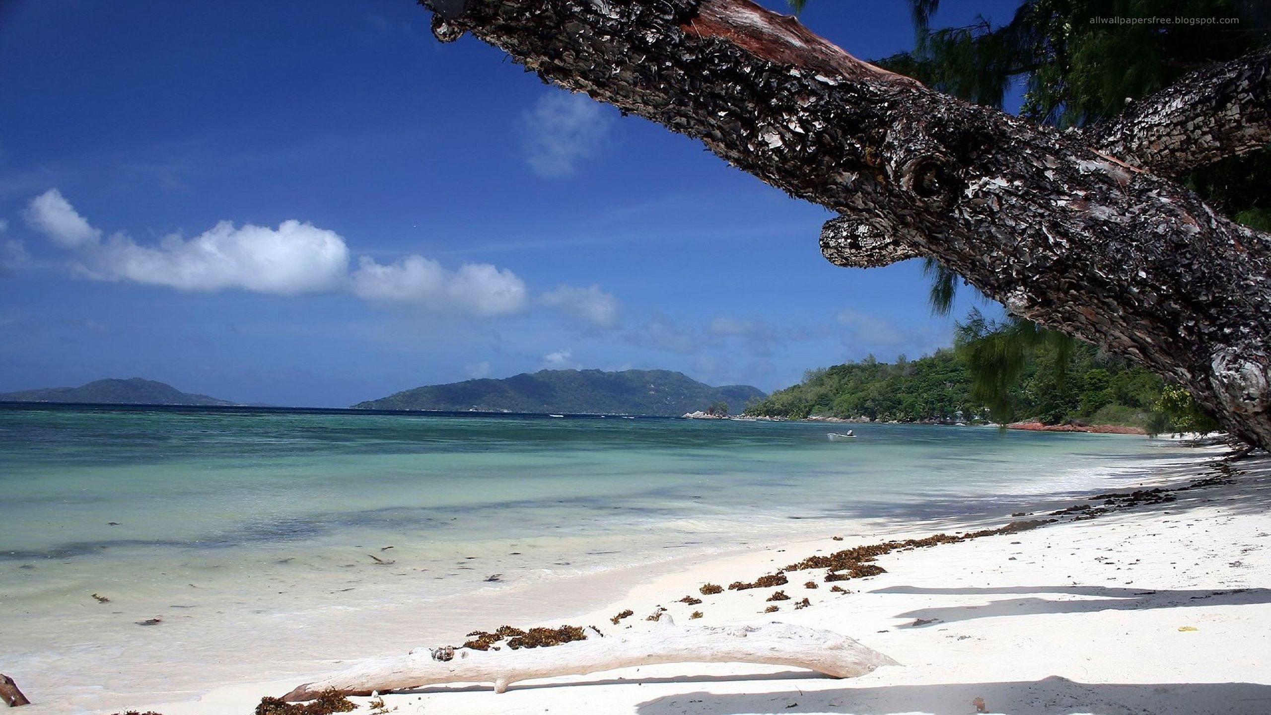 landscapes, Nature, Beaches Wallpaper