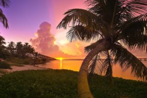 sunset, Landscapes, Nature, Florida, Palm, Trees, Parks, Sea