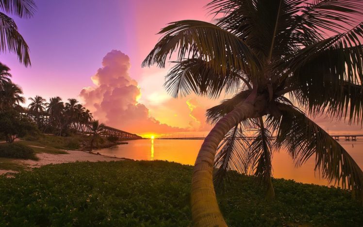 sunset, Landscapes, Nature, Florida, Palm, Trees, Parks, Sea HD Wallpaper Desktop Background
