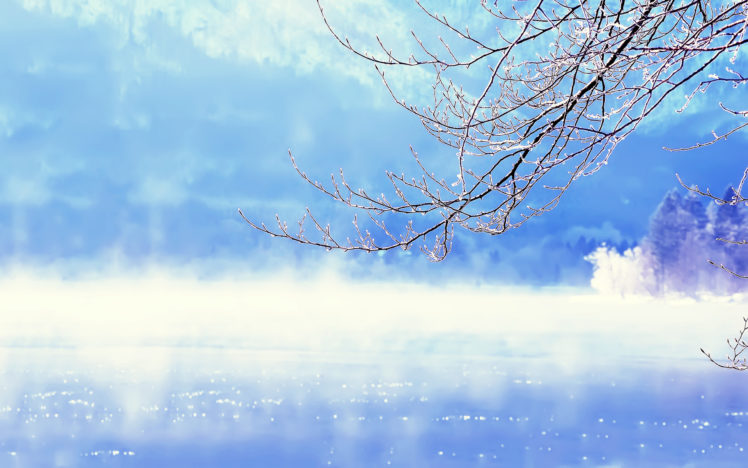 water, Reflection, Trees, Drops, Branch, Fog, Mist, Dream, Landscapes, Autumn, Fall HD Wallpaper Desktop Background