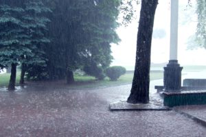 storm, Rain, Drops, Splash, Spray, Park, Path, Trail, Sidewalk, Trees, Landscapes