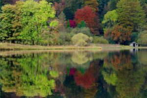 reflection, Water, Shore, Trees, Forest, Landscapes, Autumn, Fall, Shack, Rustic, Buildings