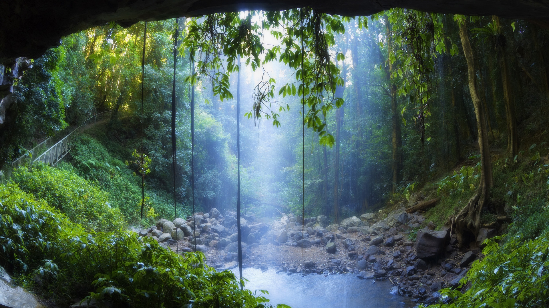 landscapes, Rain, Forest, Drog, Fog, Mist, Trees, Woods, Water, Pool, Sunlight, Filtered Wallpaper