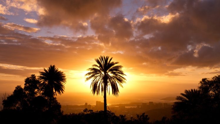 sunset, Landscapes, Trees, Silhouettes, Hawaii, Palm, Trees, Oahu HD Wallpaper Desktop Background