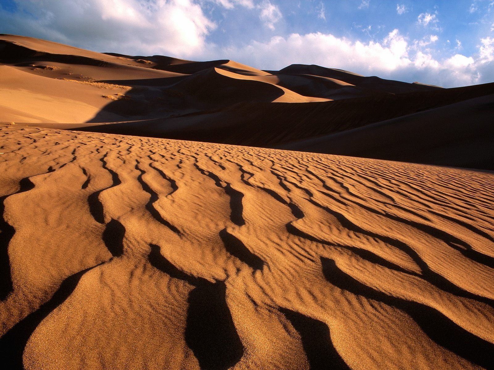 landscapes, Nature, Deserts, Sand, Dunes, Dunes, Algeria, Dessert Wallpaper