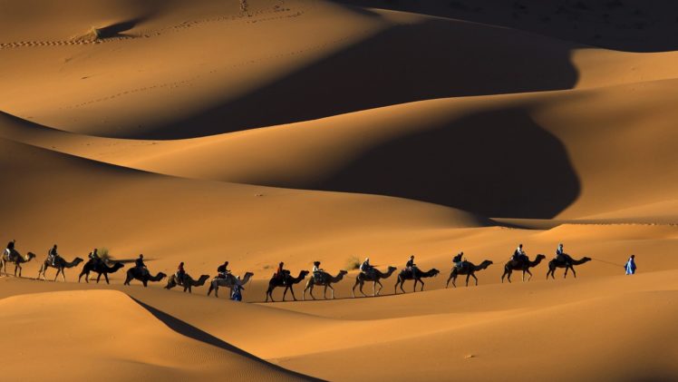 deserts, Camels, Morocco, Sahara HD Wallpaper Desktop Background