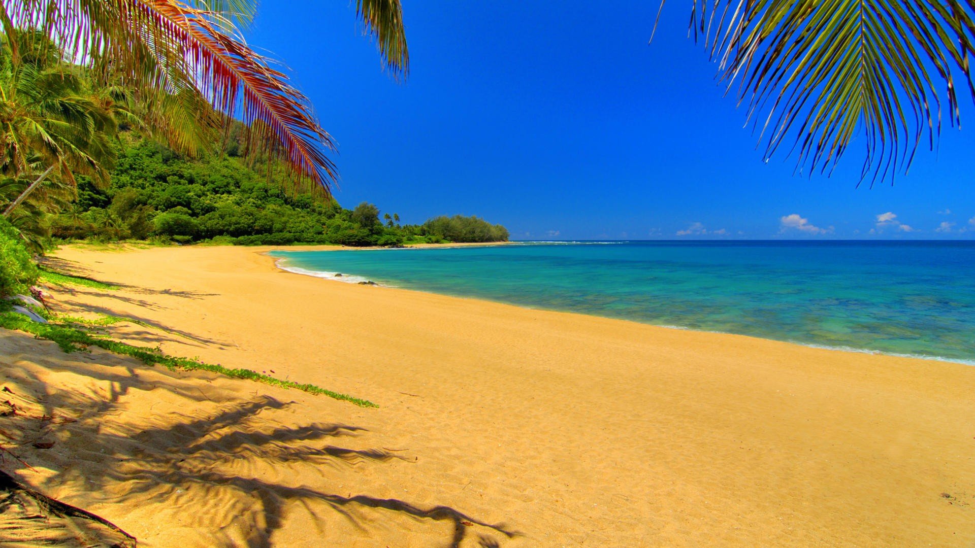 hawaii, Kauai, Beaches Wallpapers HD / Desktop and Mobile Backgrounds, image size:1920x1080