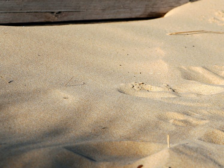 landscapes, Sand, Beaches HD Wallpaper Desktop Background