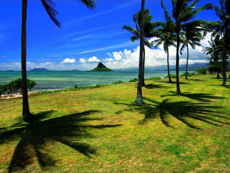 water, Ocean, Nature, Trees, Islands, Beaches HD Wallpaper Desktop Background
