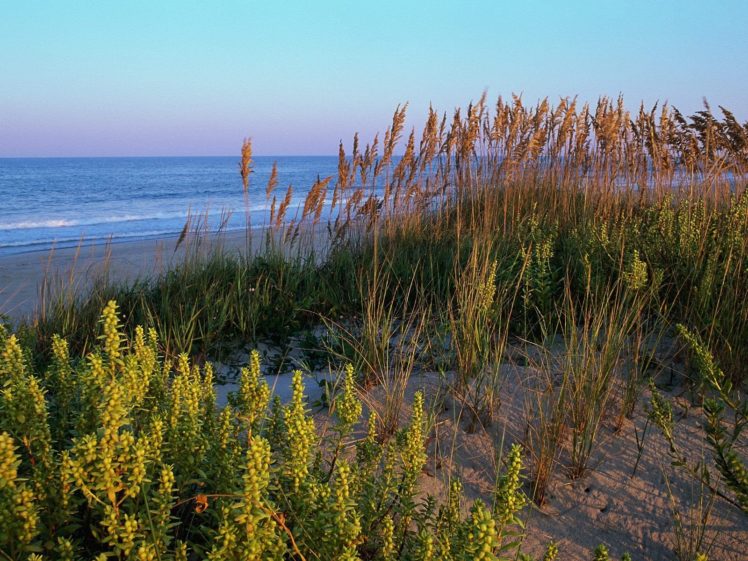 landscapes, Nature, Dunes, Beaches HD Wallpaper Desktop Background