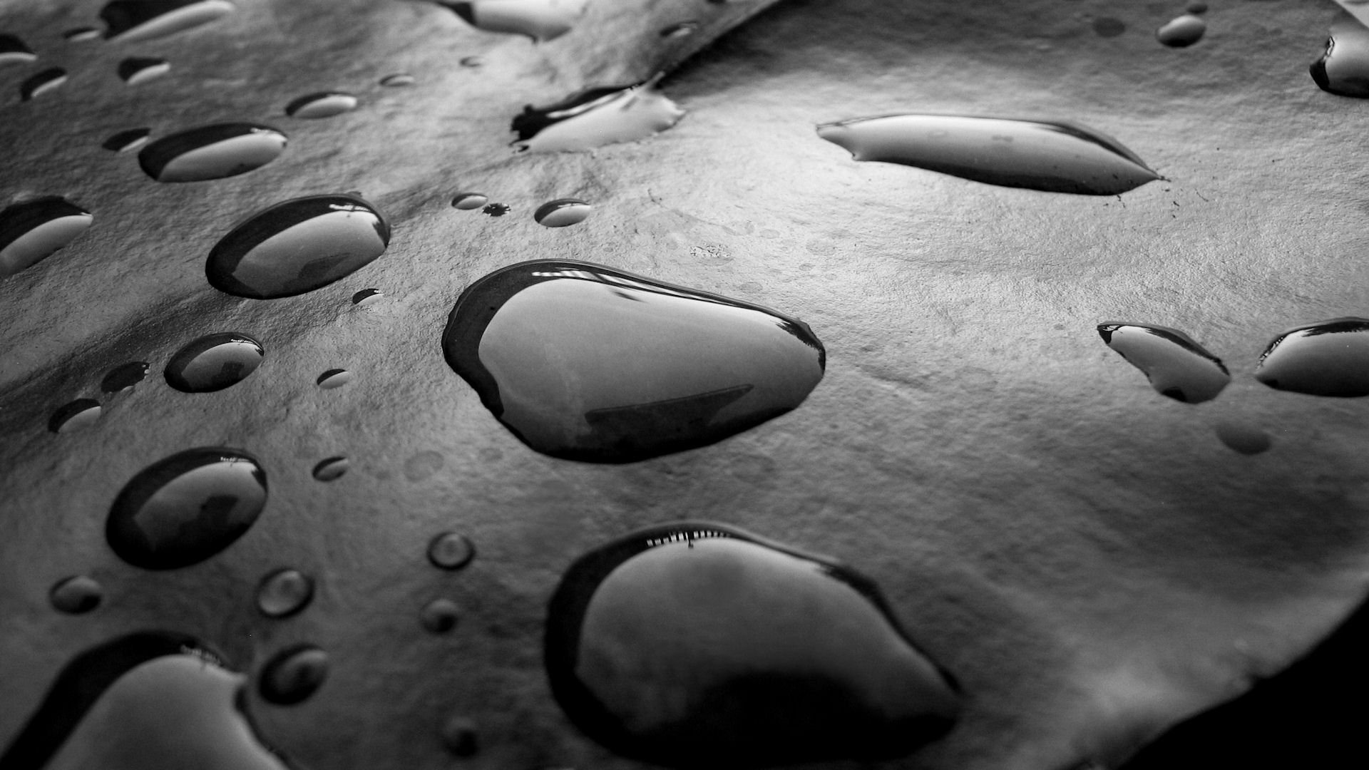 water, Drops, Condensation Wallpaper