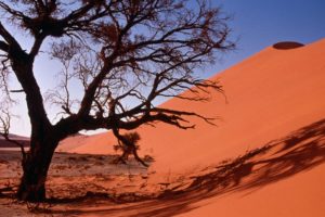 landscapes, Nature, Deserts, Sand, Dunes, Africa