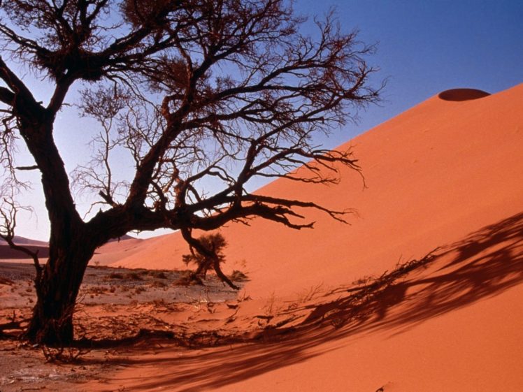 landscapes, Nature, Deserts, Sand, Dunes, Africa HD Wallpaper Desktop Background