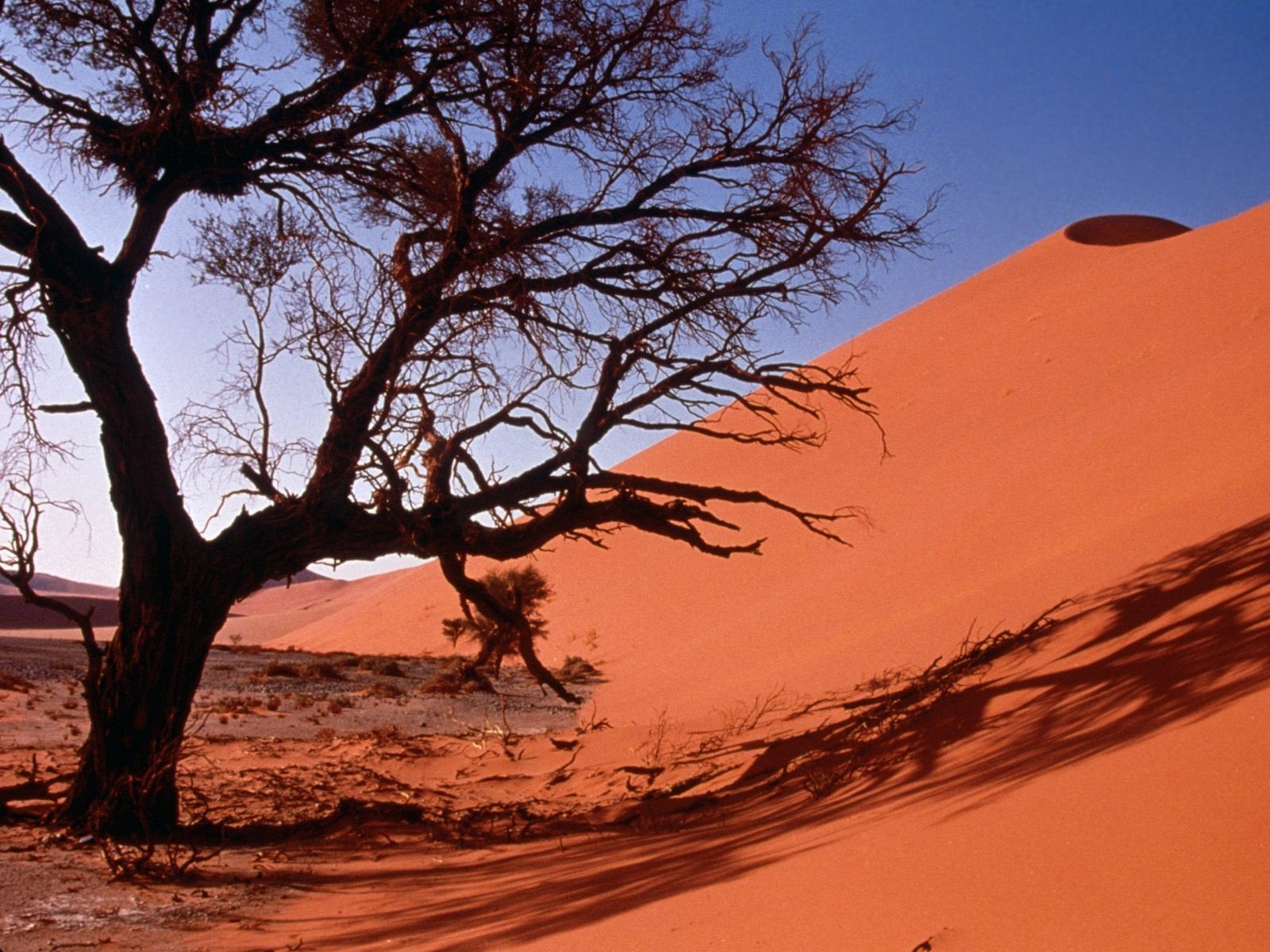 landscapes, Nature, Deserts, Sand, Dunes, Africa Wallpaper