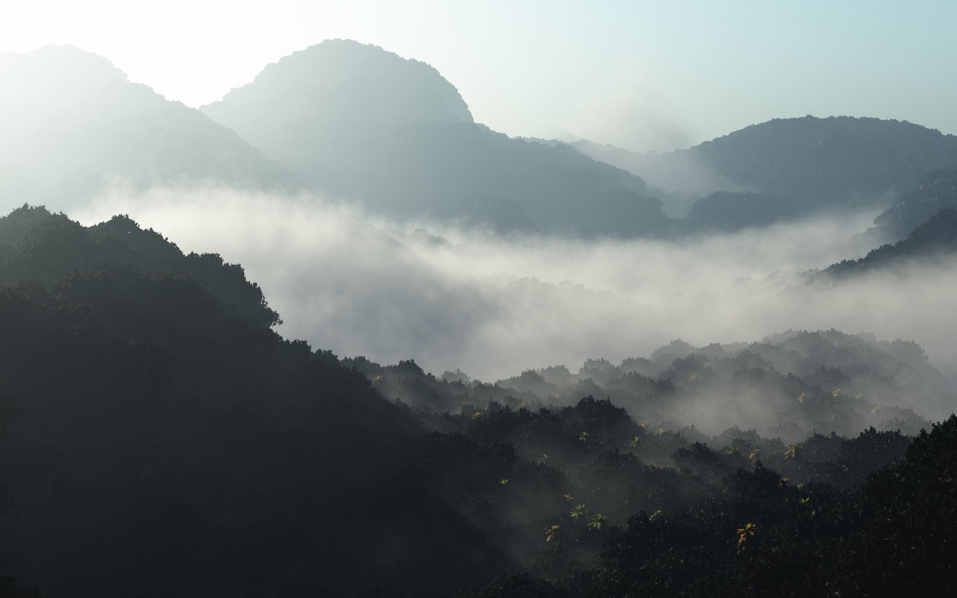 landscapes, Mountains, Trees, Jungle, Forest, Fog, Mist, Sunlight Wallpaper