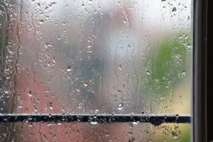 rain, Window, Panes