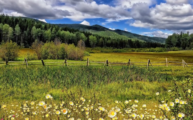 flowers, Meadow, Fence, Rustic, Grass, Mountains, Hills, Trees, Forest, Woods, Sky, Clouds HD Wallpaper Desktop Background