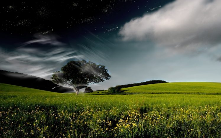 cg, Digital, Art, Manip, Trees, Fields, Flowers, Sky, Clouds, Night, Sky, Stars HD Wallpaper Desktop Background