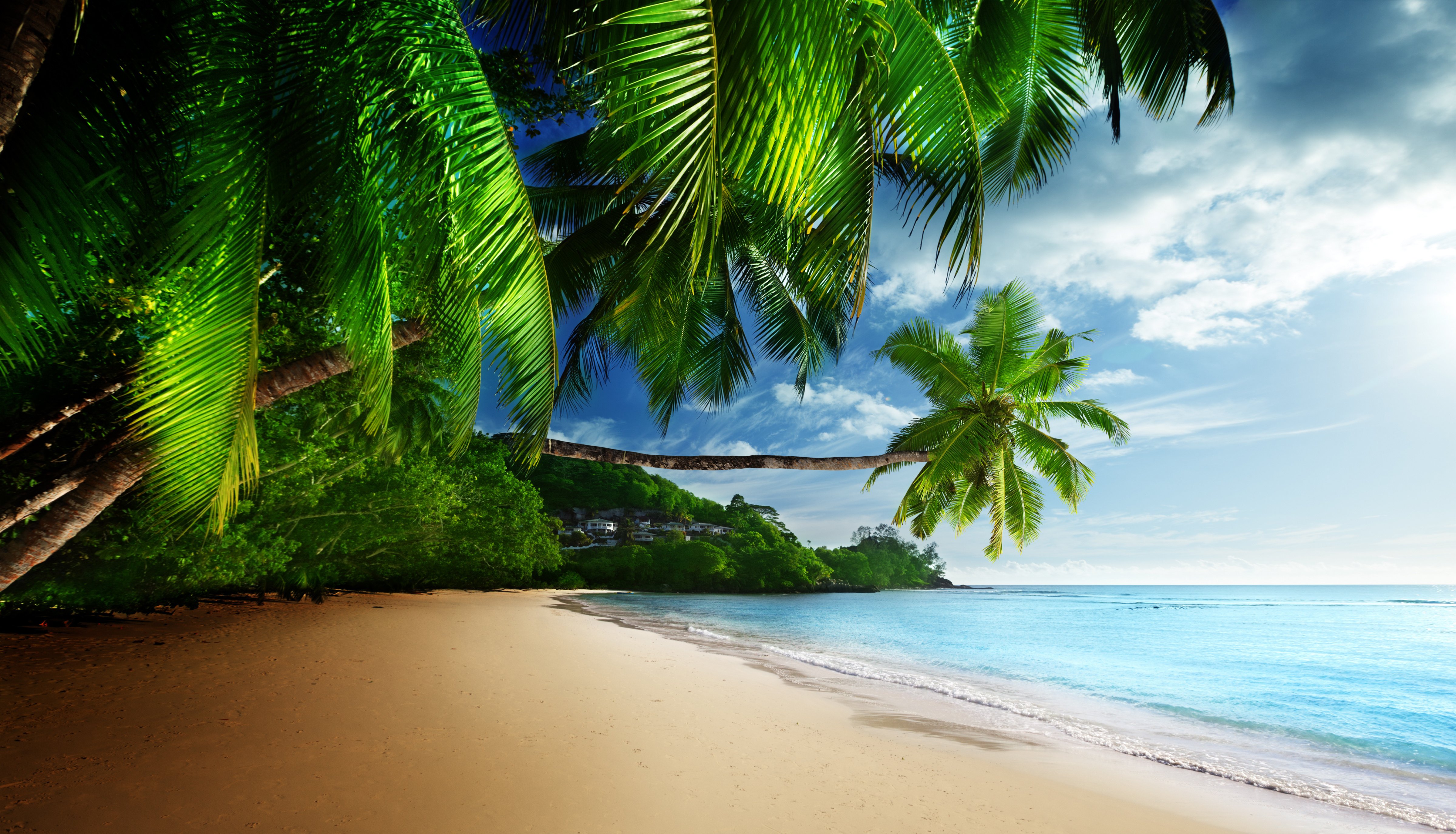coast, Paradise, Tropical, Sea, Sky, Sunshine, Emerald, Blue, Beach Wallpaper