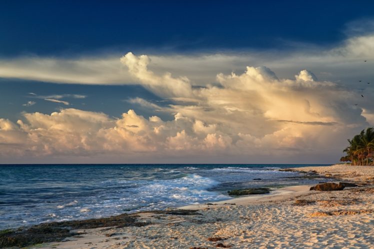 wind, Waves, Beach, Palm, Trees, Sea, Sand HD Wallpaper Desktop Background