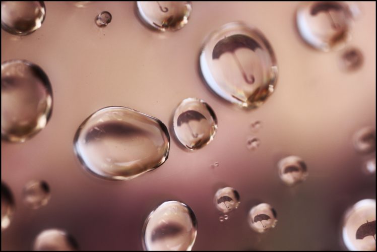 drops, Water, Reflection, Umbrella, Macro HD Wallpaper Desktop Background