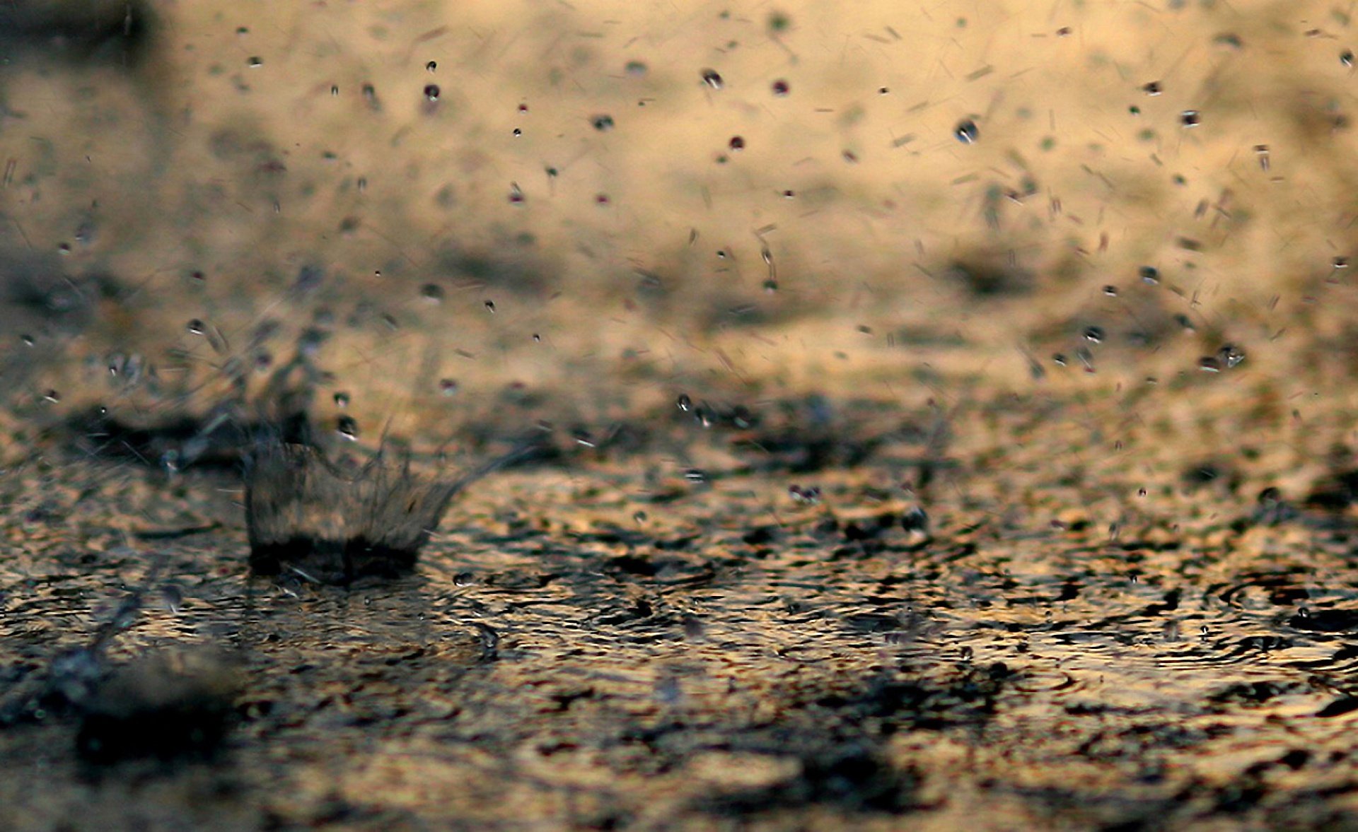 water, Drops, Spray, Rain, Bokeh Wallpaper