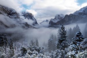 yosemite, National, Park, Usa, California, Winter, Snow, Forest