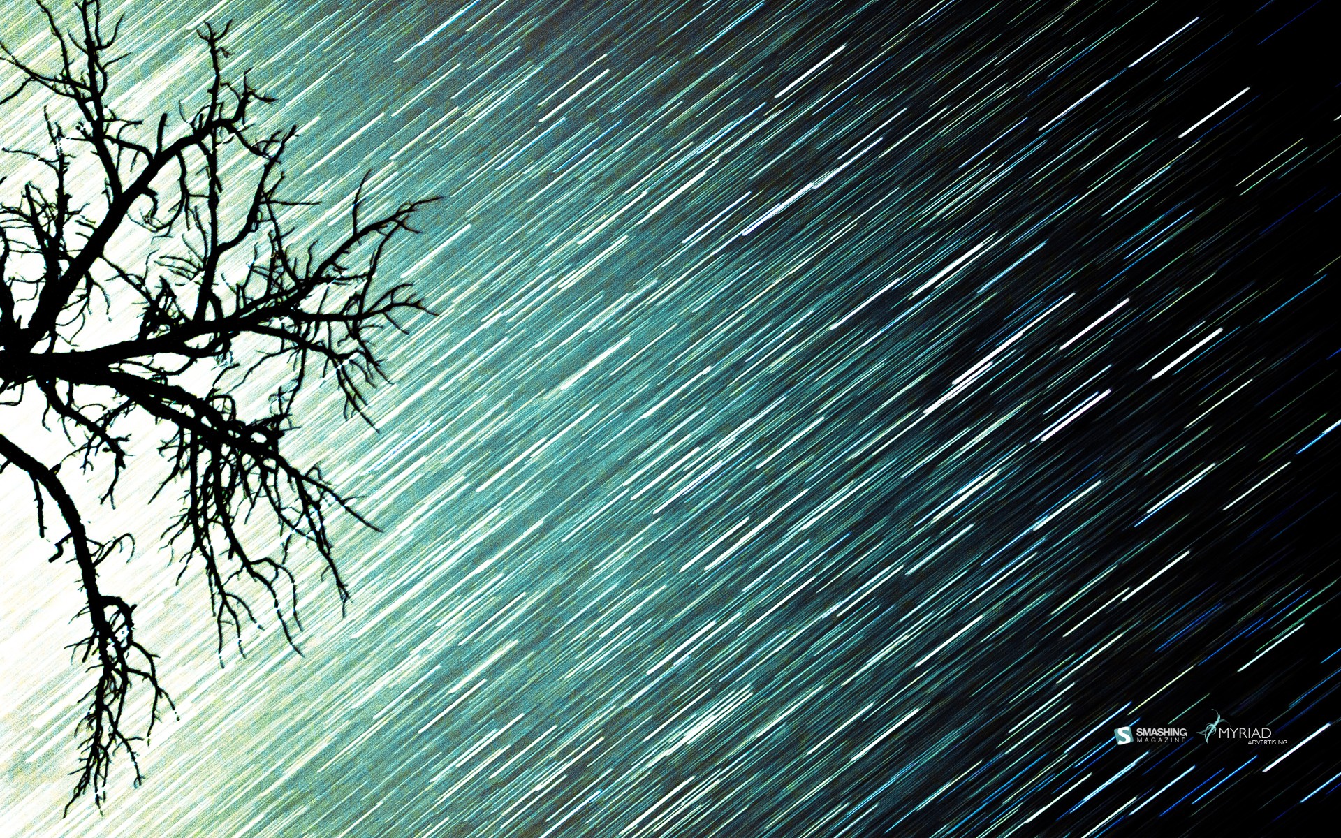 36561 Wallpaper