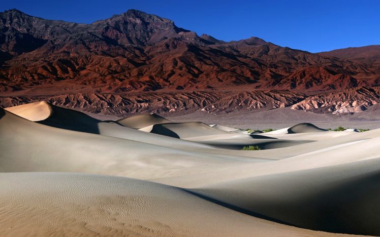 the, Mesquite, Dunes HD Wallpaper Desktop Background
