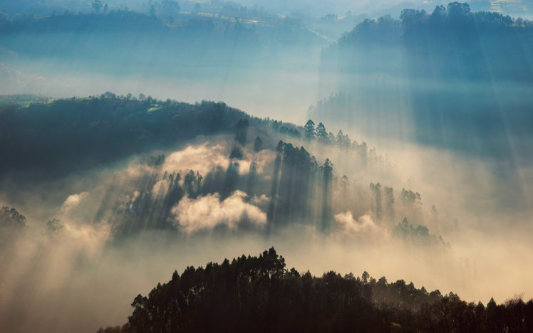 landscapes, Hills, Fog, Autumn, Fall, Sunlight, Filtered, Beams, Rays HD Wallpaper Desktop Background