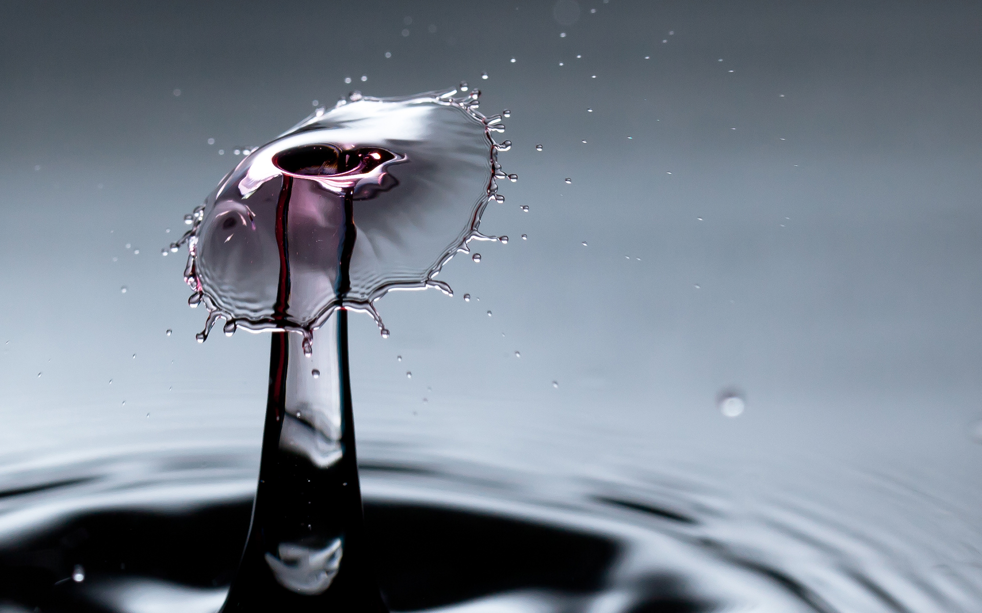 water, Drops, Macro, Photography, Stop, Motion Wallpaper