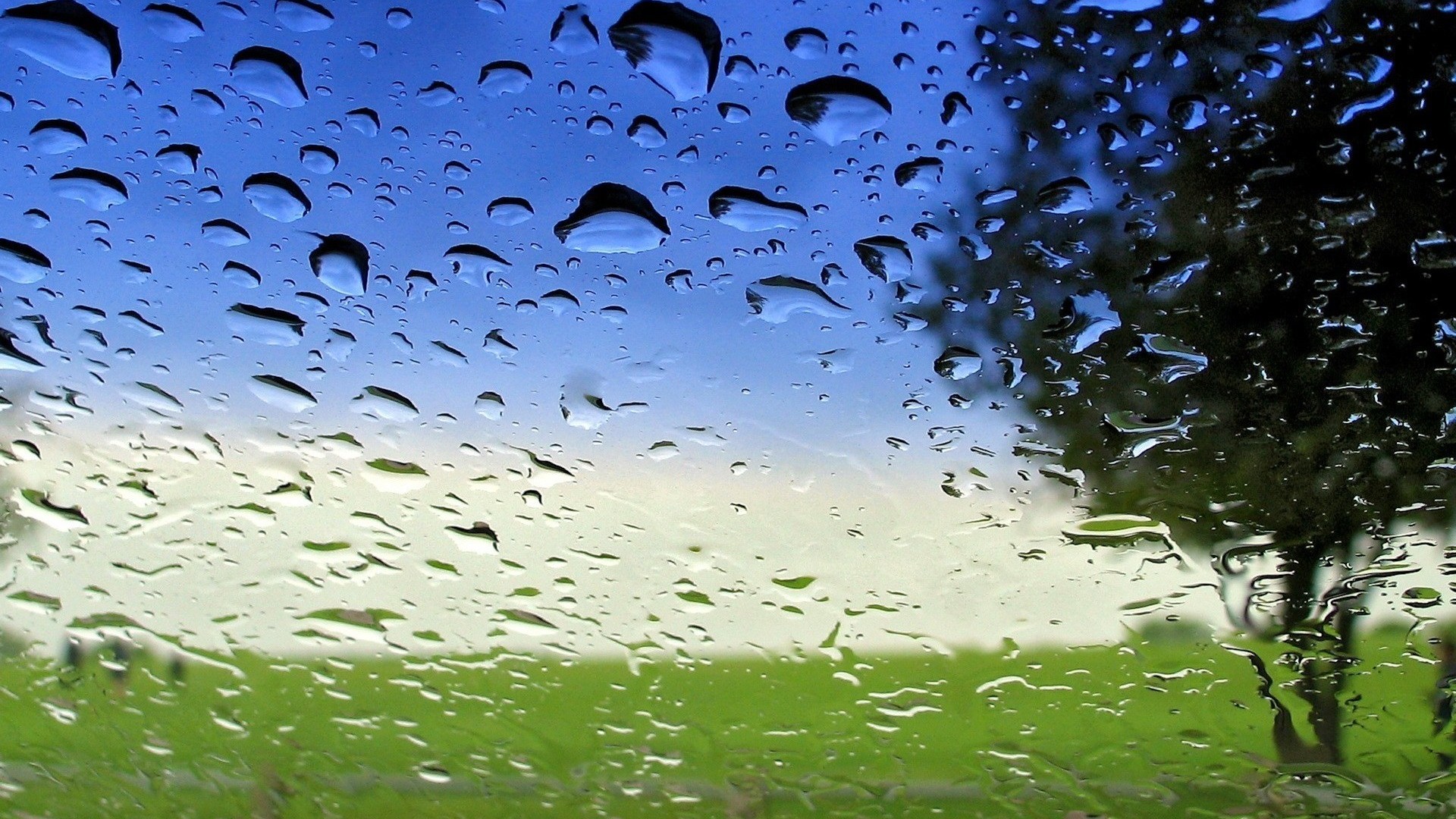 drops, Rain, Nature, Landscapes, Window, Glass, Trees, Spring, Seasons, Sky, Warer Wallpaper