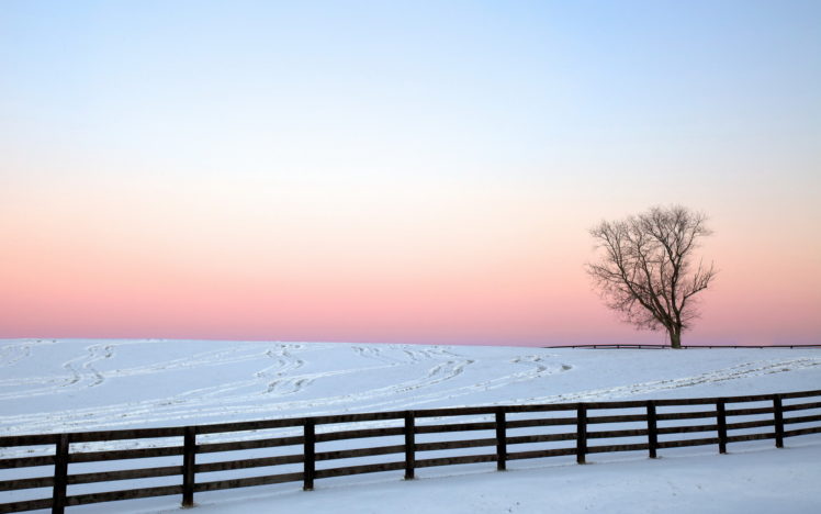 fence, Nature, Landscapes, Winter, Snow, Trees, Sky, Sunset, Sunrise HD Wallpaper Desktop Background