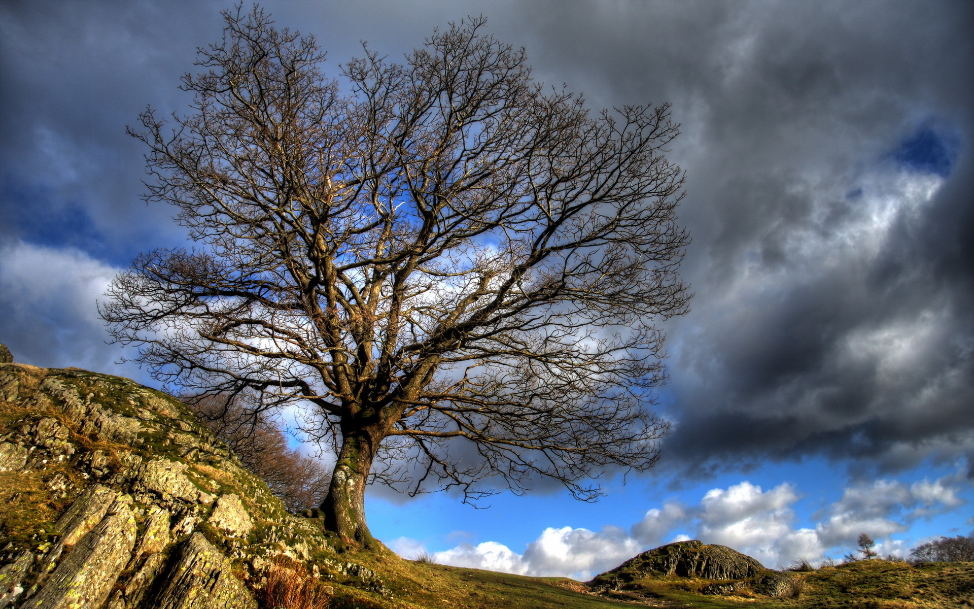 sky, Clouds, Hdr, Nature, Landscapes, Trees, Hill, Rock, Stone Wallpaper