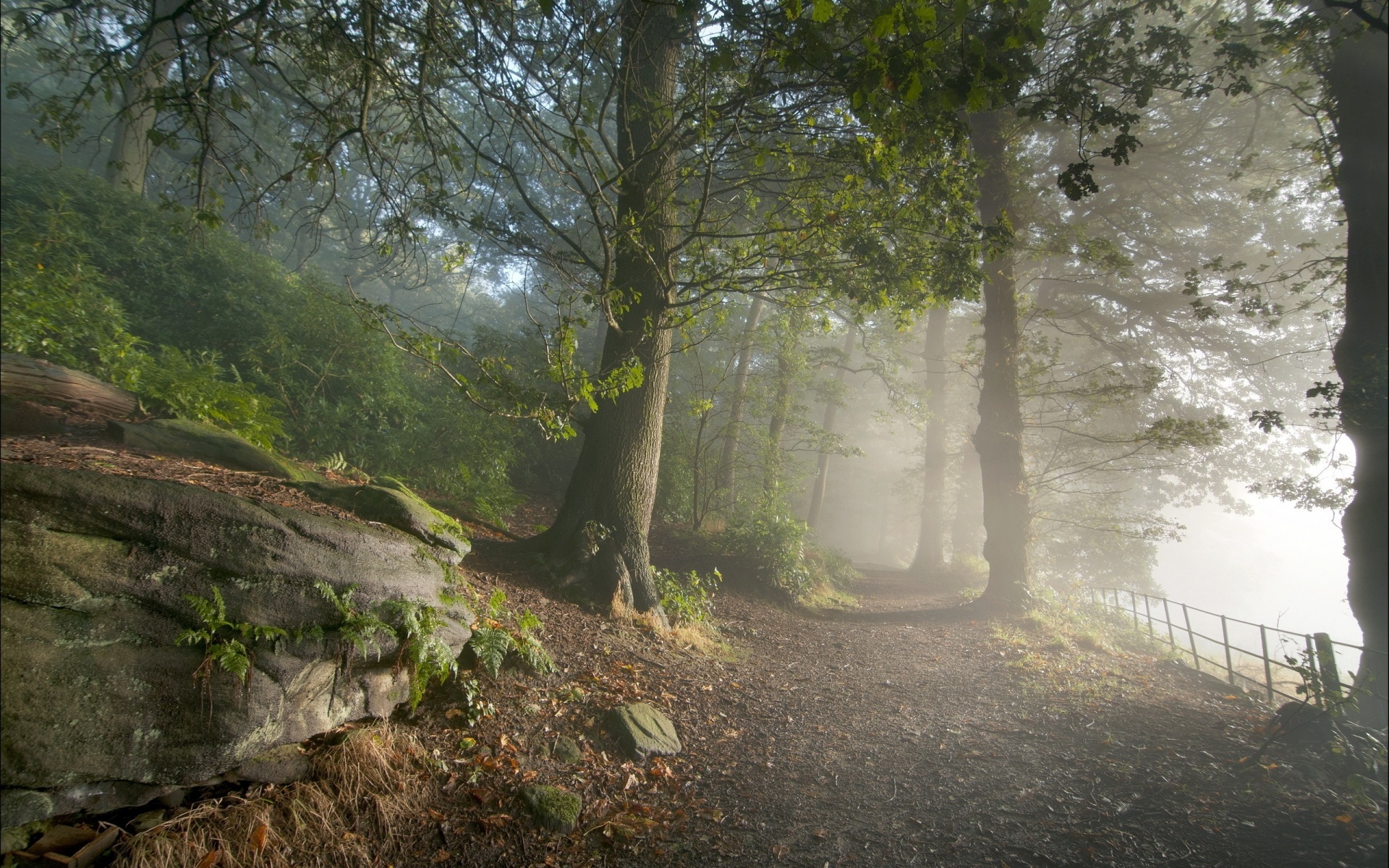 fog, Mist, Nature, Landscapes, Trees, Forest, Woods, Leaves, Fence, Mountains, Sunrise Wallpaper