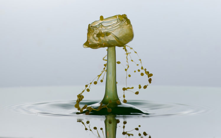 water, Drops, Stop, Motion, 3d, Tea, Drinks HD Wallpaper Desktop Background